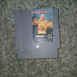 Wrestle Mania Ness Nintendo Game