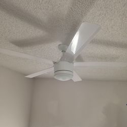 Cieling Fans