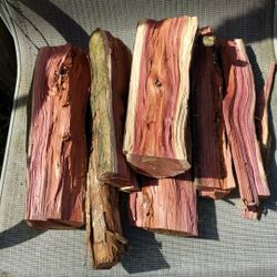 Beautiful Cedar Logs - Name Your Price 