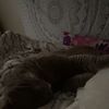 Izzy 