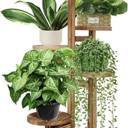 5 Tiered Tall Plant Stand for Indoor