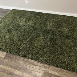 BEAUTIFUL HIGH PILE RUG, GREEN