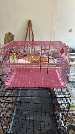 Bird cage with toys