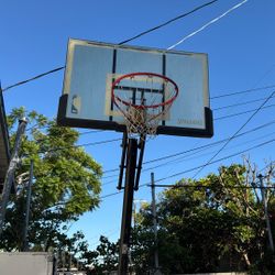 Free! Spalding PRO NBA Hoop Home New