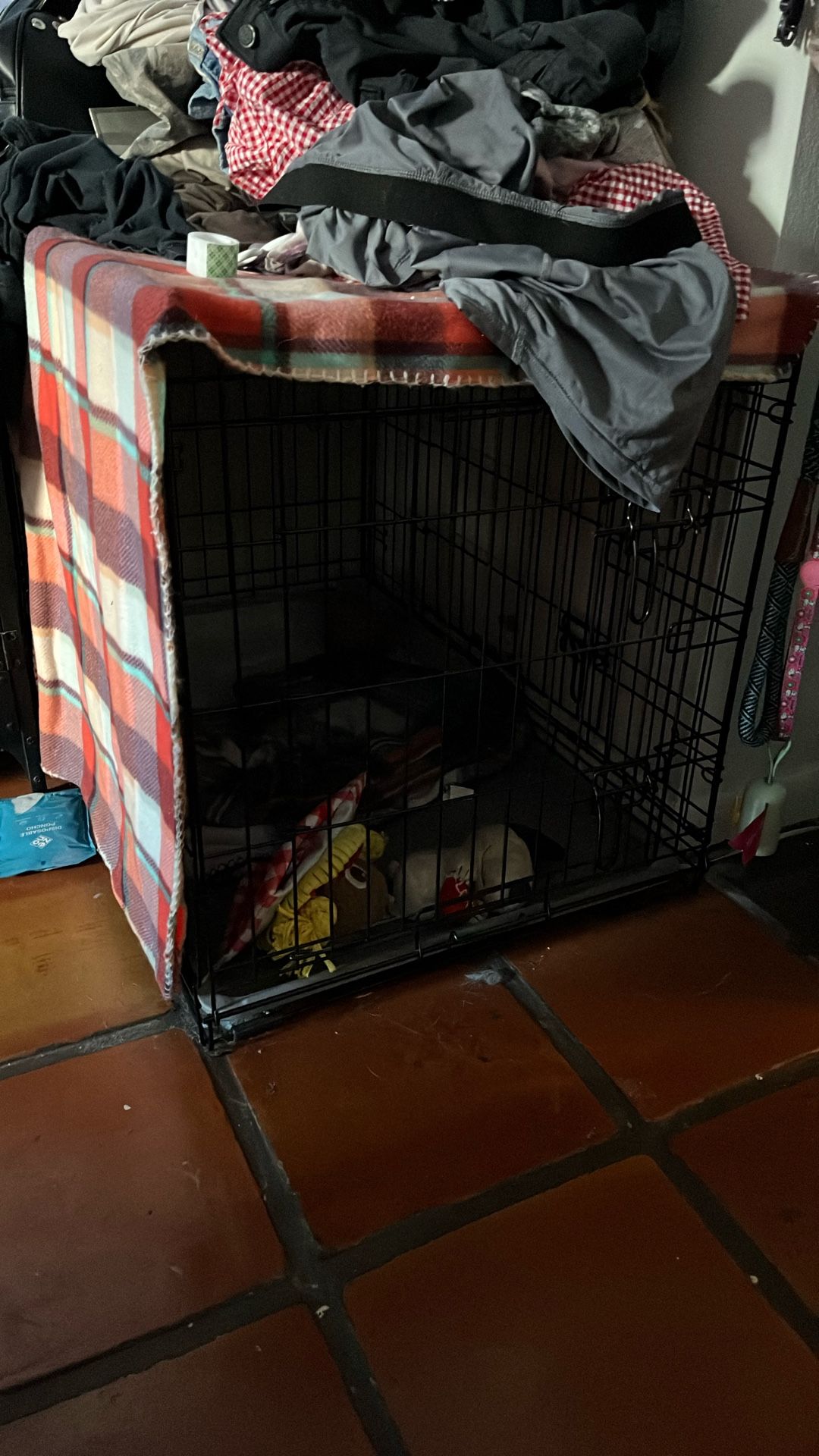 Large Dog Crate