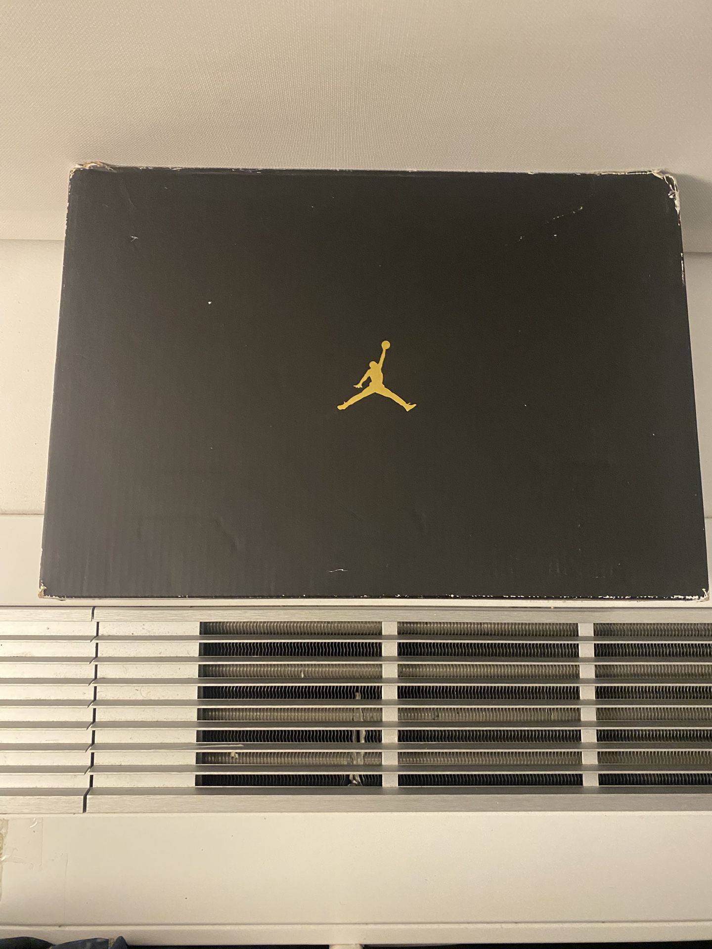 Air Jordan 5 Metallic Size 6