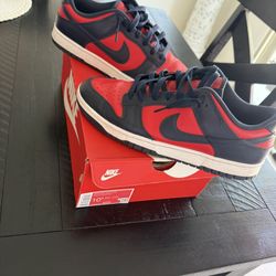Dunks Size 10.5