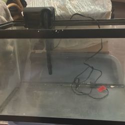 10 Gallons Fish Thank 