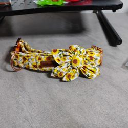 Dog Collar 