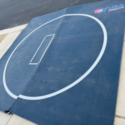 Dollamur USA Wrestling 10x10 Mat