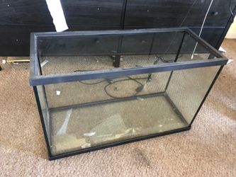 Glass terrarium