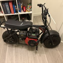 Trail master Storm 200 with a 224cc Predator Max Performance engine