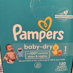 Size 1 120 Diapers Each Box ( 2 Available)