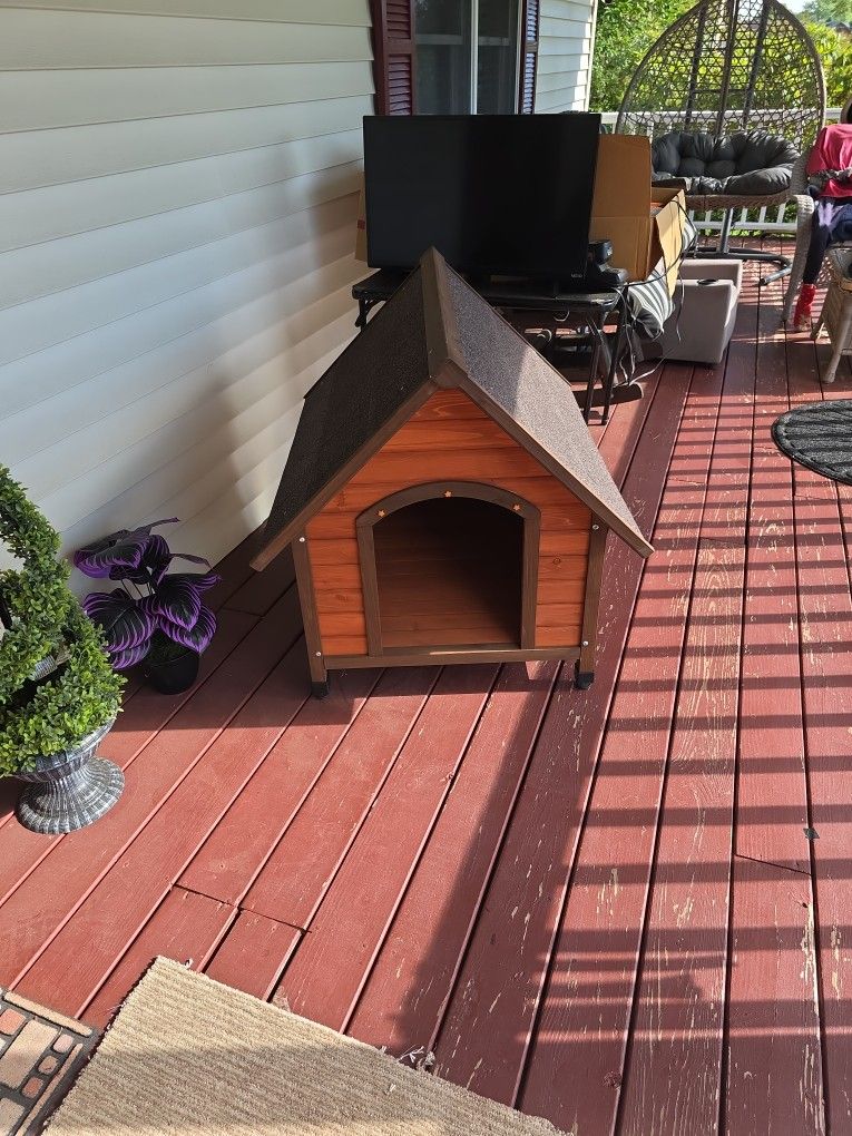 New Dog House 