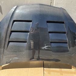Brand New 2002 - 2006 Acura RSX Carbon Creations DriTech TS-1 Hood - Part # 112947