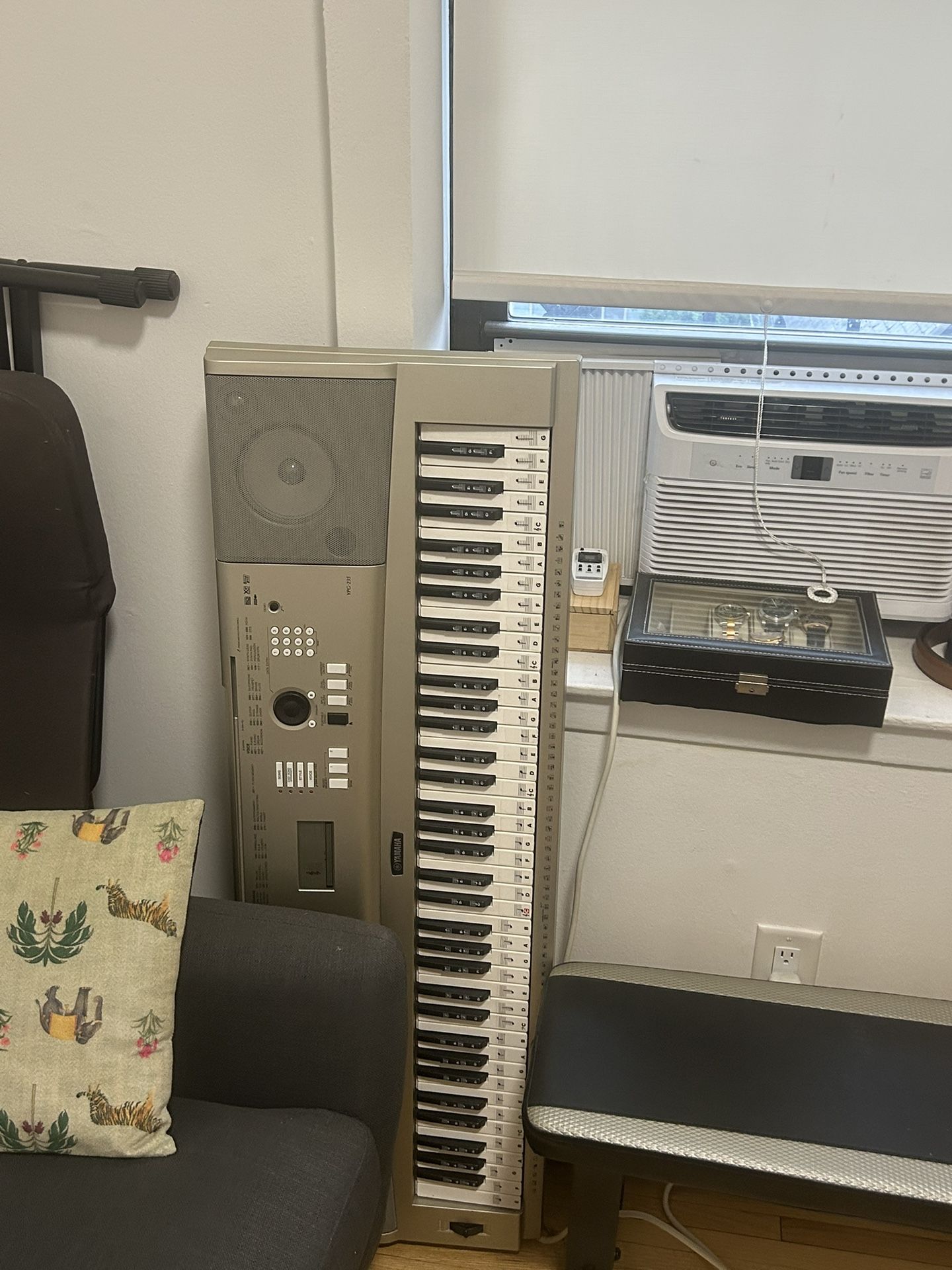Piano With Synthesizer 