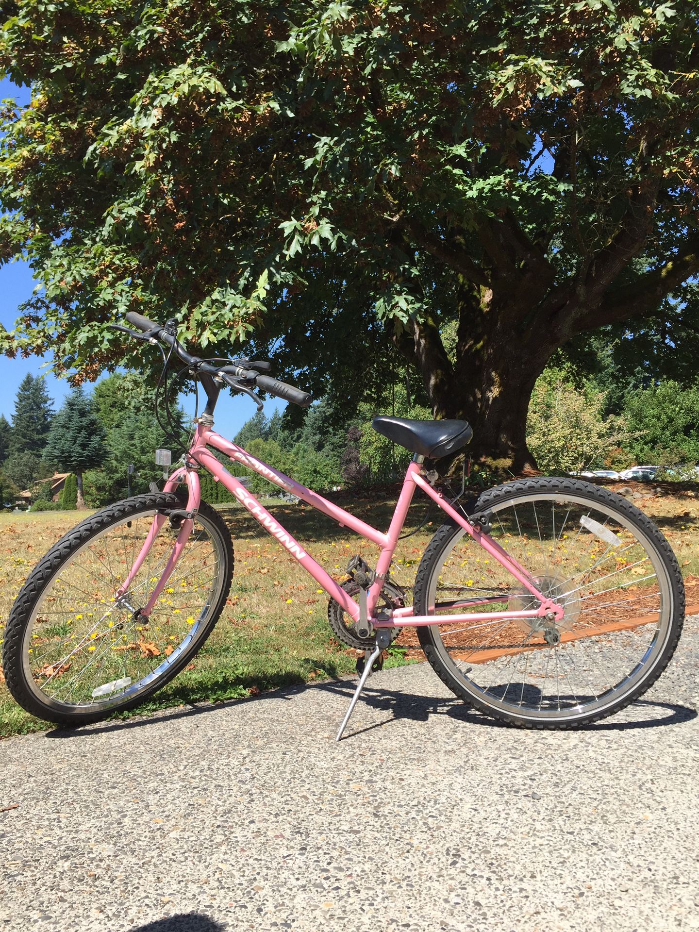 (Pink) Schwinn Frontier girls’ bike
