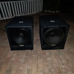 Dj speakers subs