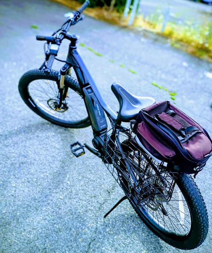 Raleigh Tokul iE Electric Mountain Bike