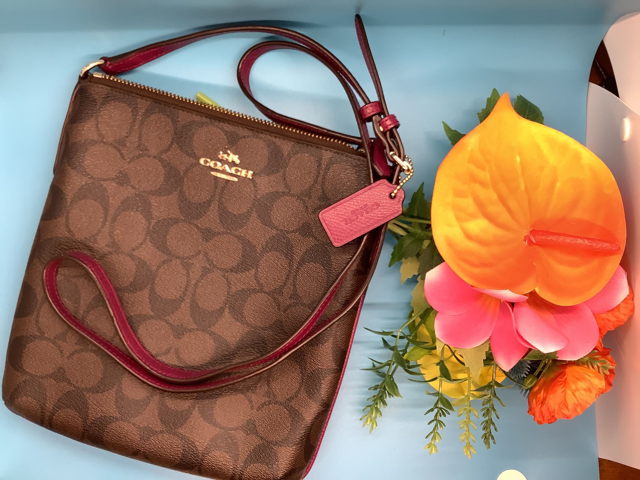 Coach Brown/Purple Crossbody