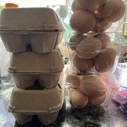 One Dozen Fresh Eggs (6 Available)