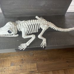 NEW- Giant Skeleton Crocodile / Alligator - Faux 