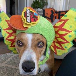 Jurassic Park Dog Costume 