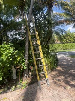 Werner Extension Ladder