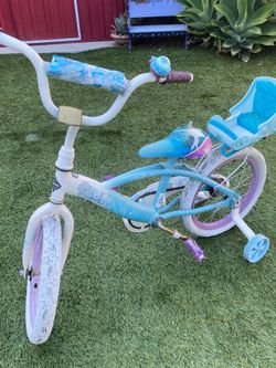 Frozen bike