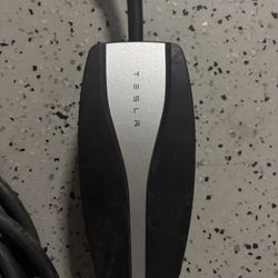 Tesla Plug 