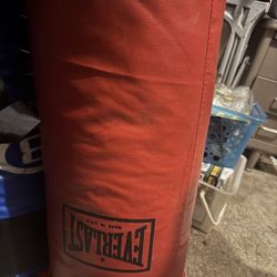 Everlast bag