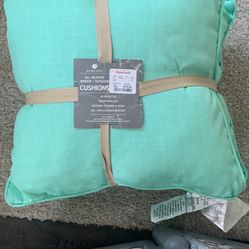 Two Light Green Pillows New 