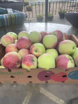 Organic Apples!