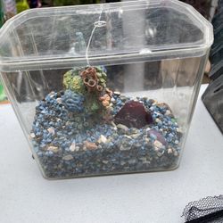 Small Fish Aquarium 