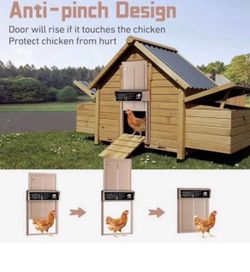 Chicken Coop Door