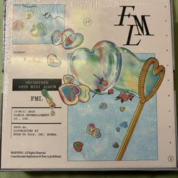 SEVENTEEN k pop 10th mini album Carat