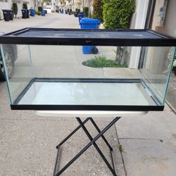 40 Gallon Terrarium