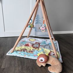 Skip Hop Camping Cubs Activity Gym