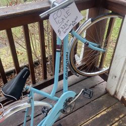 Schwinn Project Bike