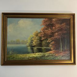 Beautiful maple trees and peaceful