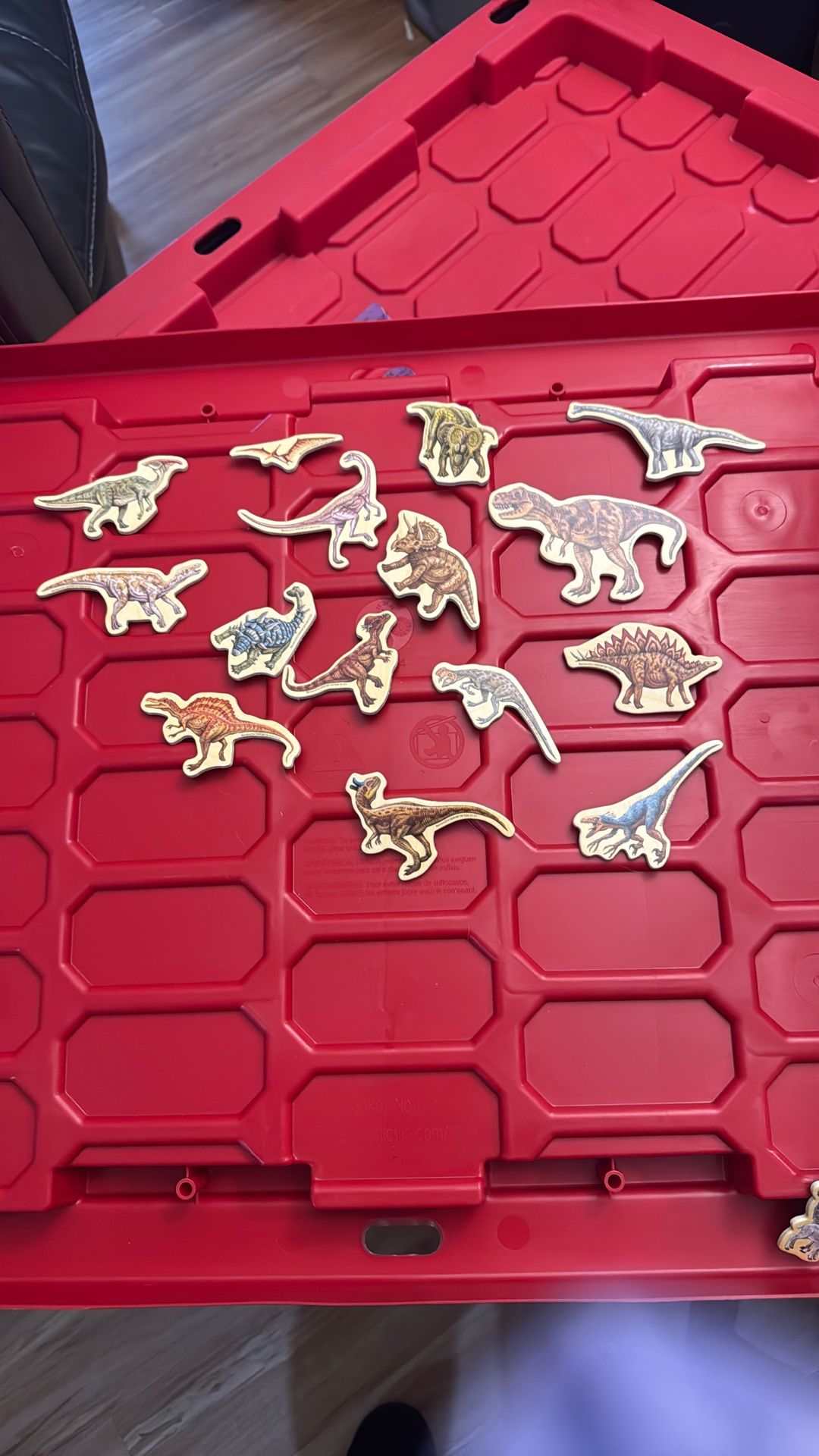 Dinosaur Magnets