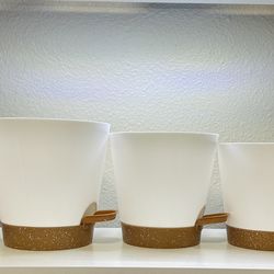 5 White Plant Pots 