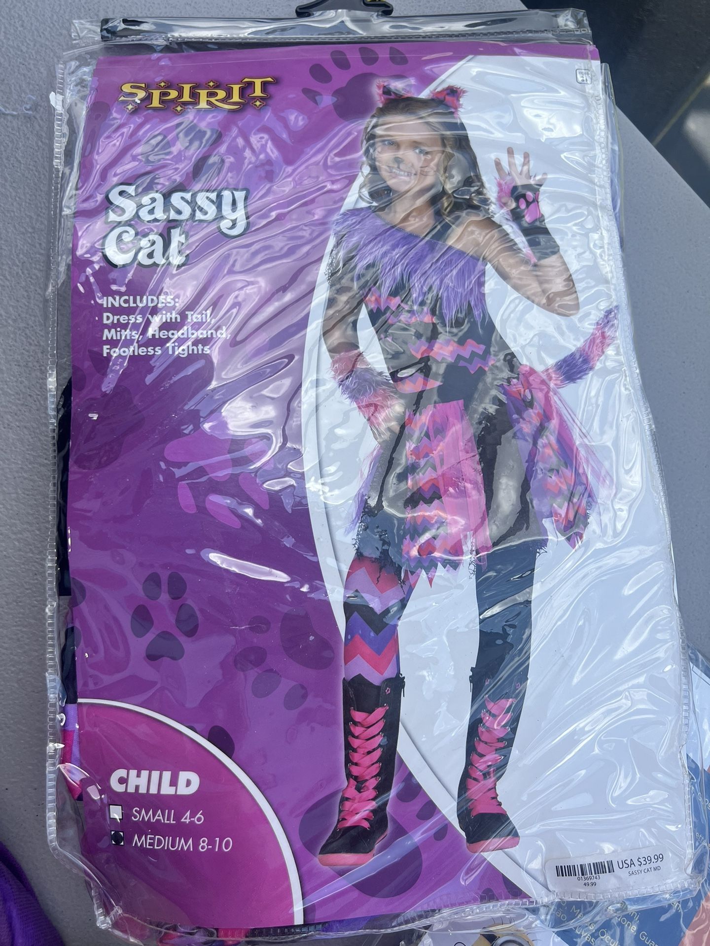 Chester Cat Costume
