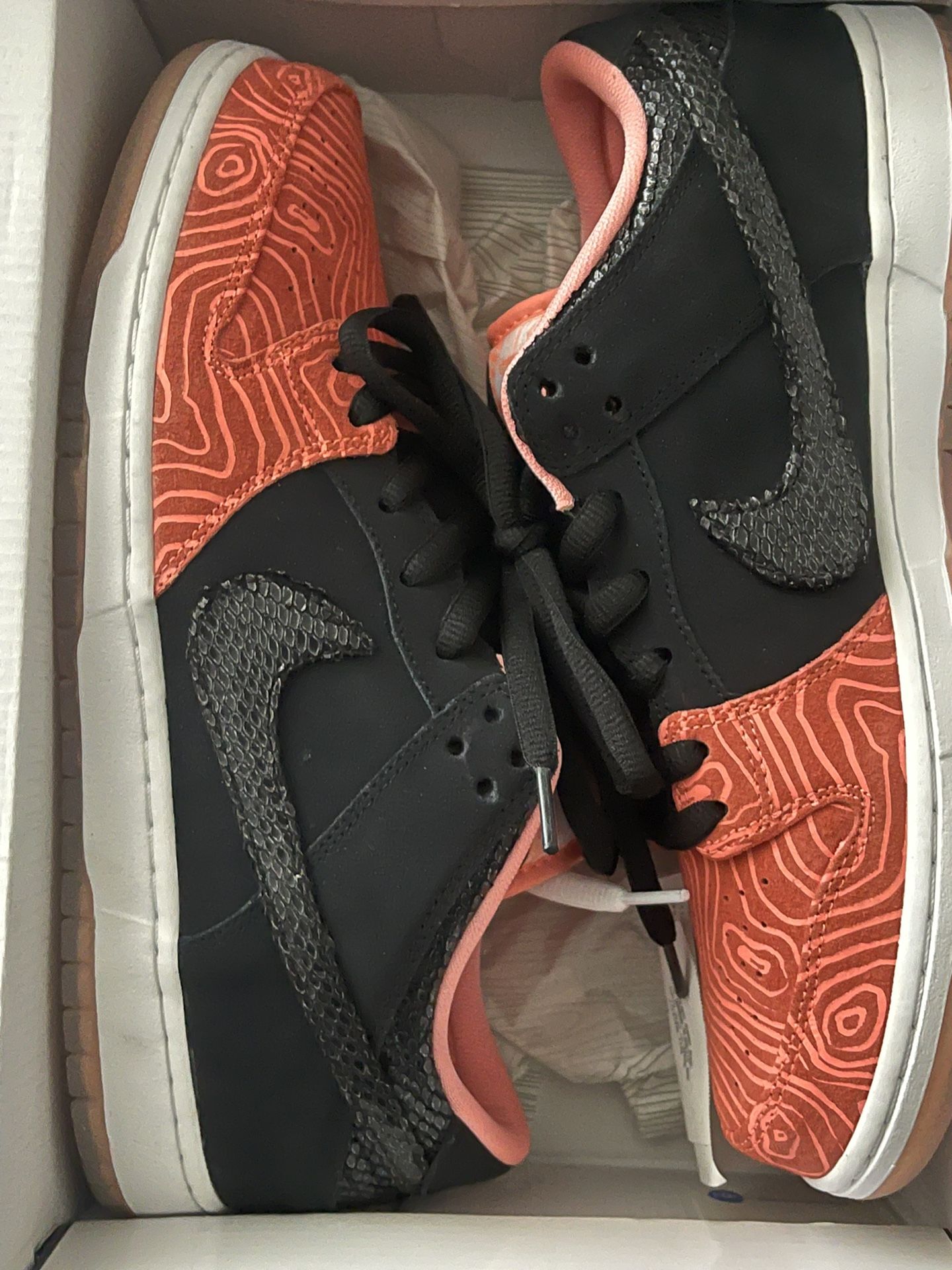 Nike Sb Dunk Fish Ladder Size 12