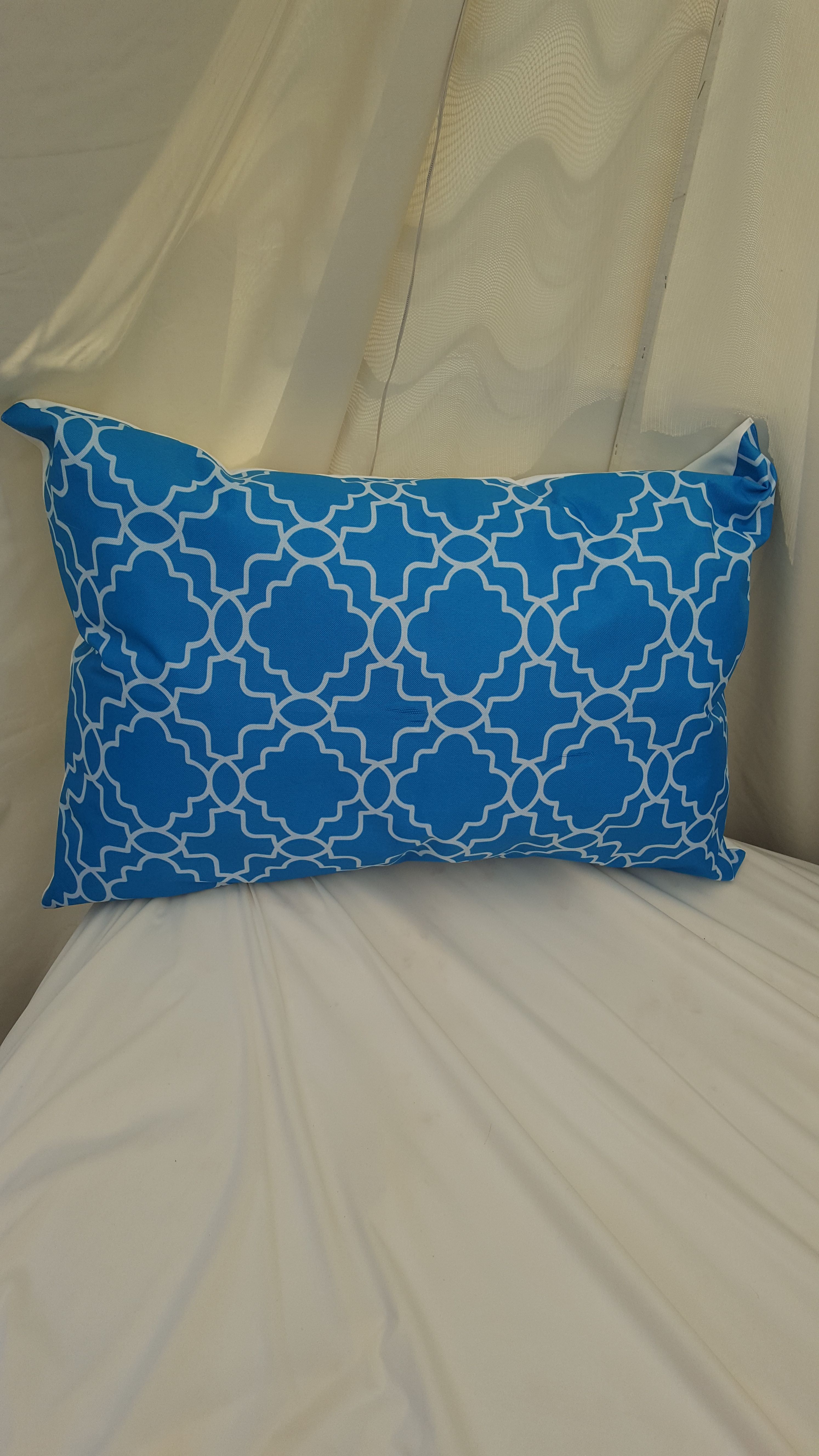 Brand new blue and white accent pillows!