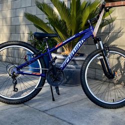Schwinn Ranger 24” Kid Bike