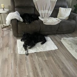 Brown Massaging And Heated Couch 