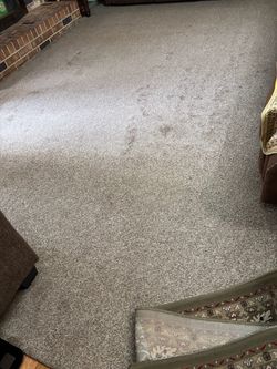 Carpet