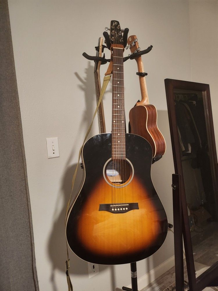 Acoustic Guitar Seagul s6
