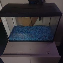 30 Gallon Tank And Filter 